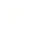 LinkedIn icon.